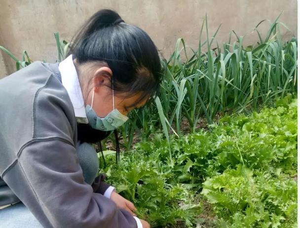 微信图片_20200510135303.png 微信图片_20200510135303.png