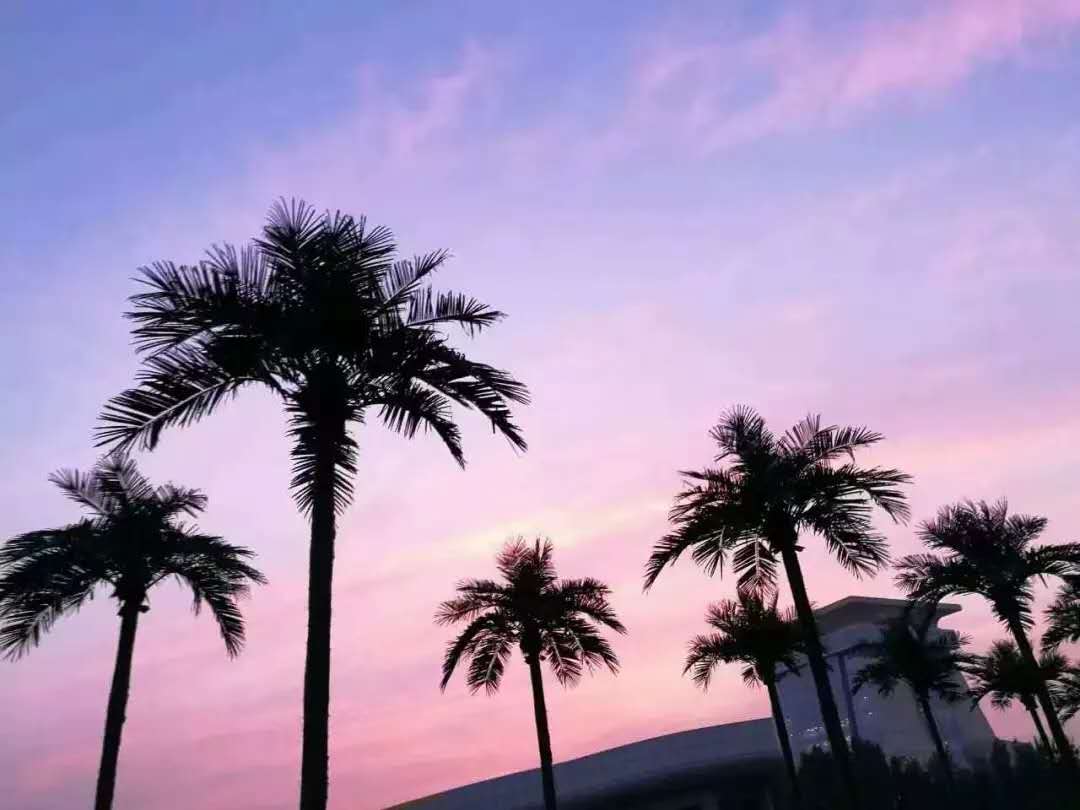 微信图片_2019040815592277777.jpg 微信图片_2019040815592277777.jpg