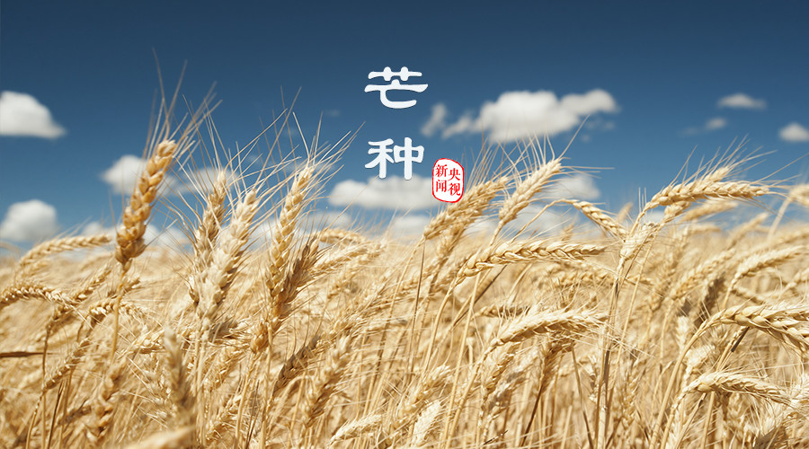 微信图片_20190610102543.jpg