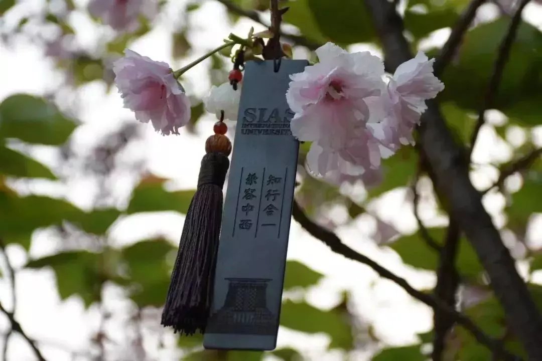 微信图片_20190527110009.jpg 微信图片_20190527110009.jpg