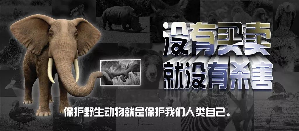 微信图片_20200415214136.jpg