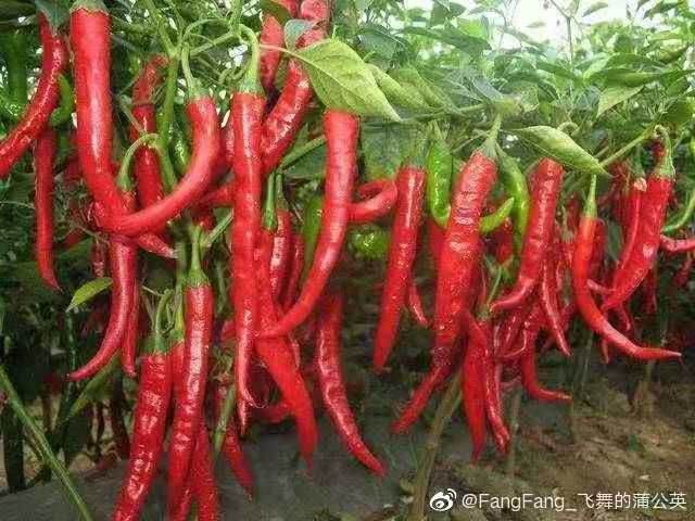 微信图片_20191110202235.jpg 微信图片_20191110202235.jpg