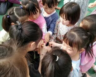 QQ截图20190517132846.png QQ截图20190517132846.png
