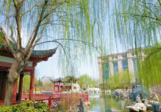 微信图片_20190604112434.jpg 微信图片_20190604112434.jpg