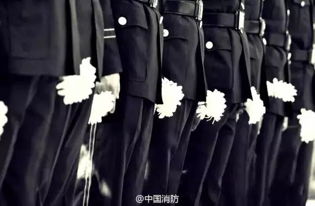 微信图片_20190408113955.jpg 微信图片_20190408113955.jpg