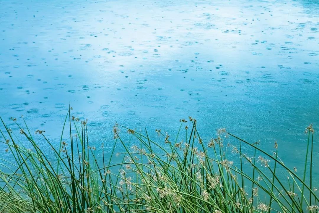 微信图片_20200415211129.jpg 微信图片_20200415211129.jpg