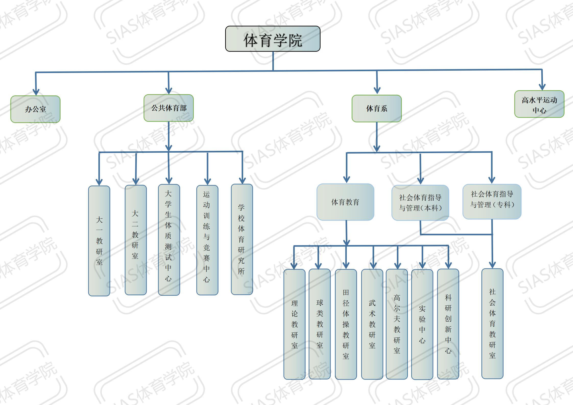 体育学院组织机构图_01.jpg