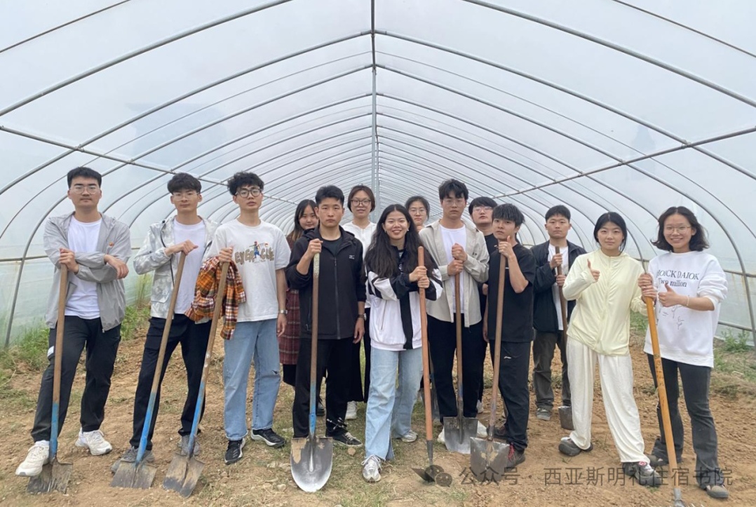 图示, 示意图 中度可信度描述已自动生成:ver1
