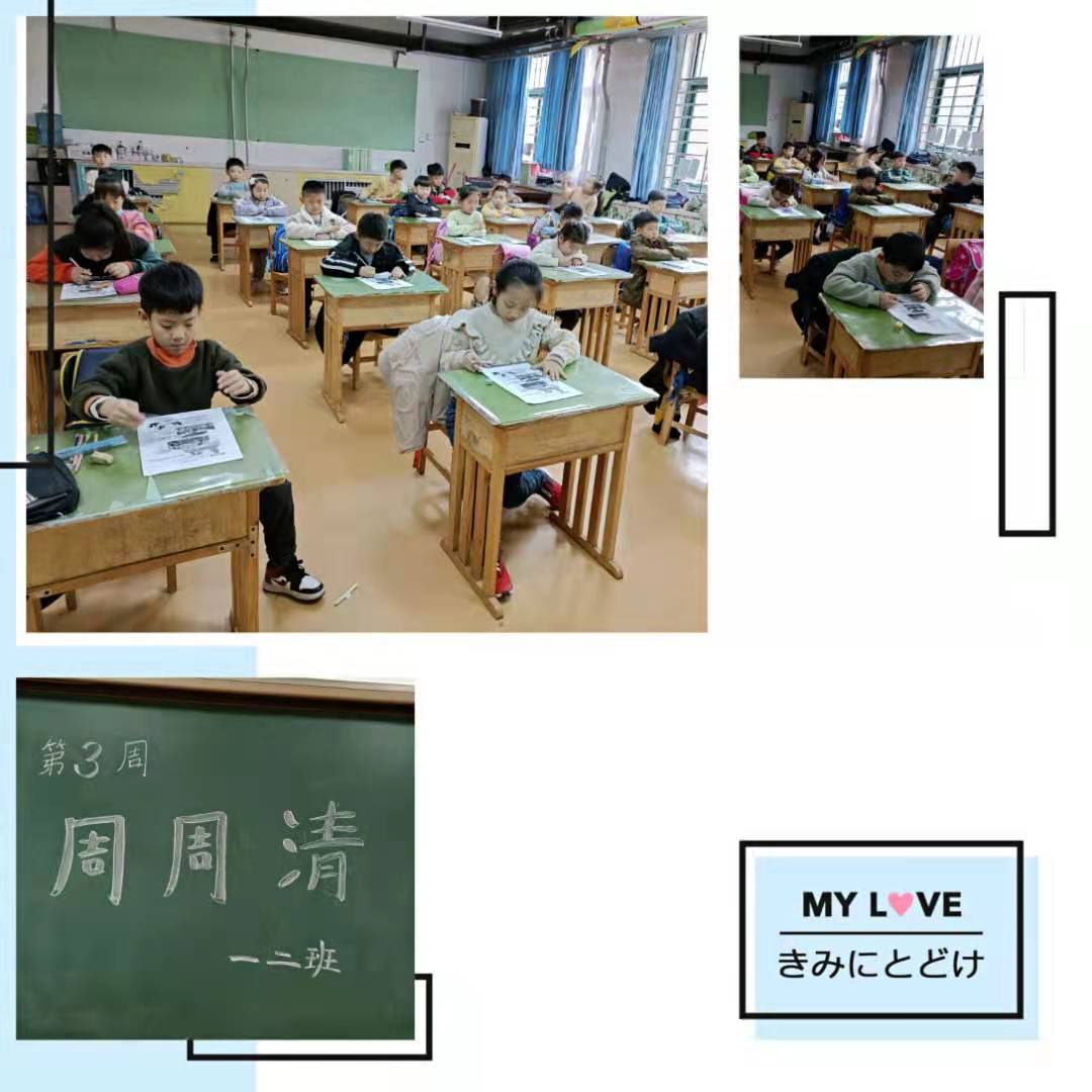 周清 第3周拼.jpg