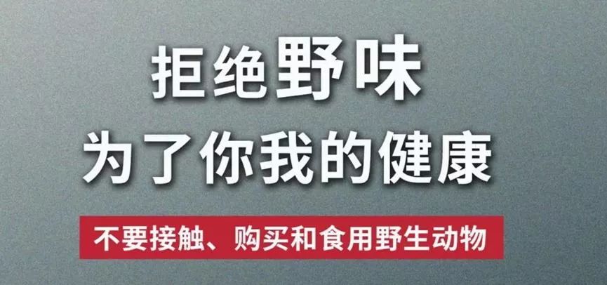 微信图片_20200415214123.jpg