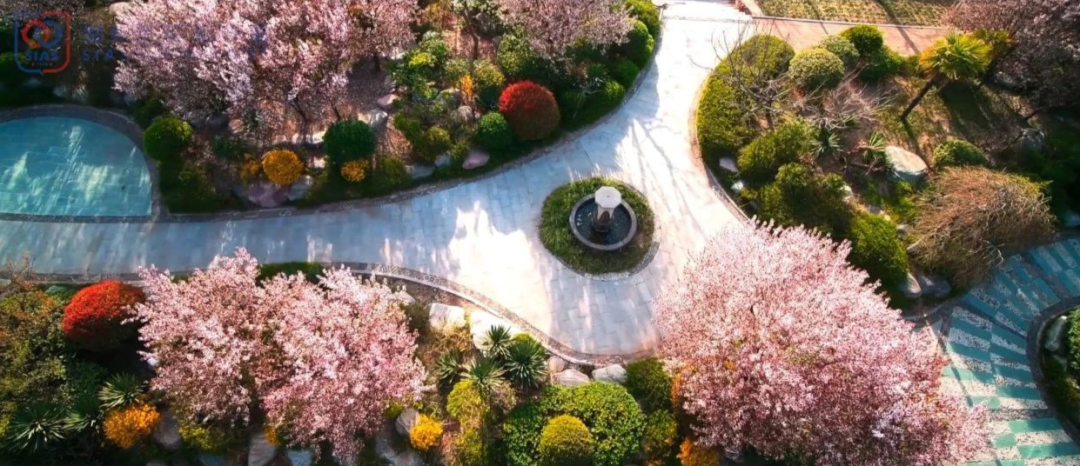 微信图片_20200419213844.png 微信图片_20200419213844.png