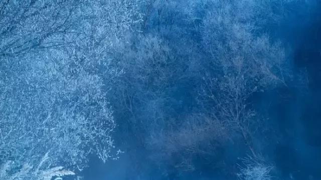 微信图片_20191222222715.jpg 微信图片_20191222222715.jpg