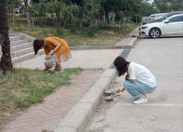 QQ截图20190531112757 222.png QQ截图20190531112757 222.png