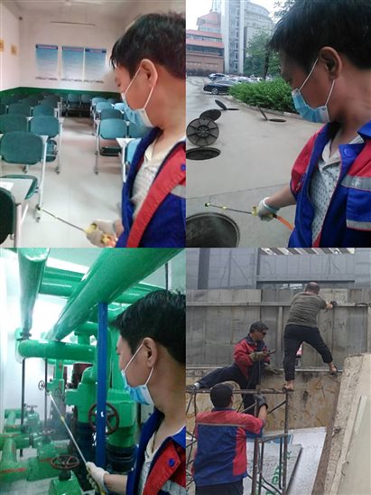 9d941bbe56994ca4ff58430099db05b